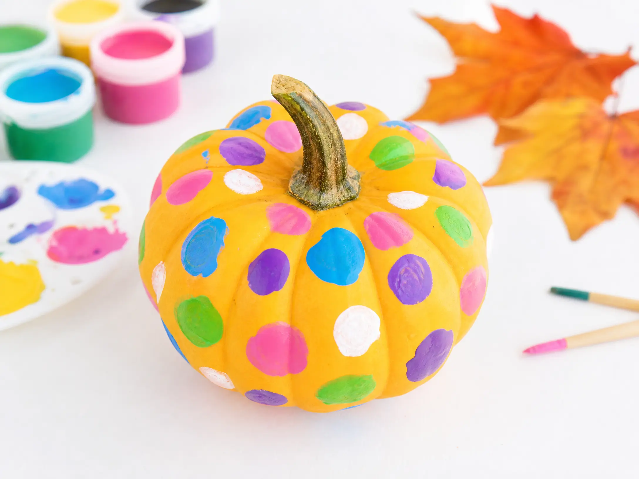 Mini pumpkin covered in colorful painted polka dots